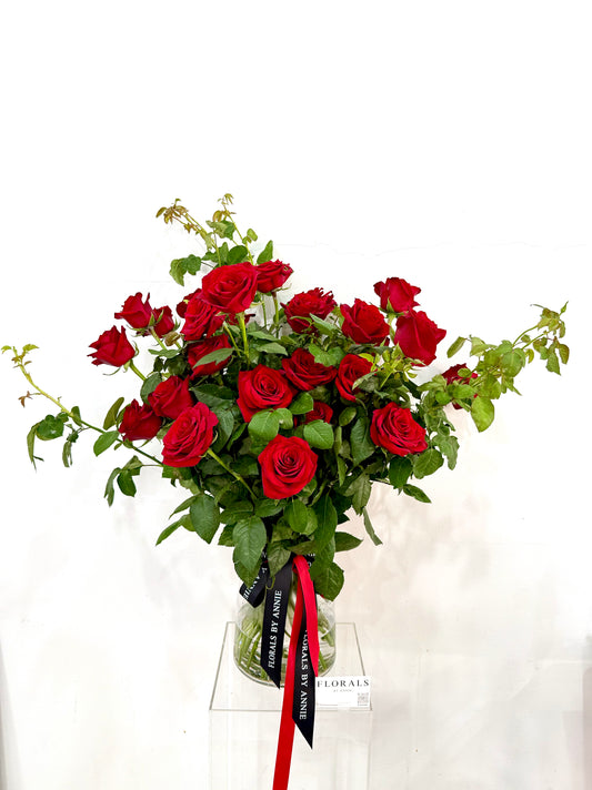 Premium Red Garden Roses