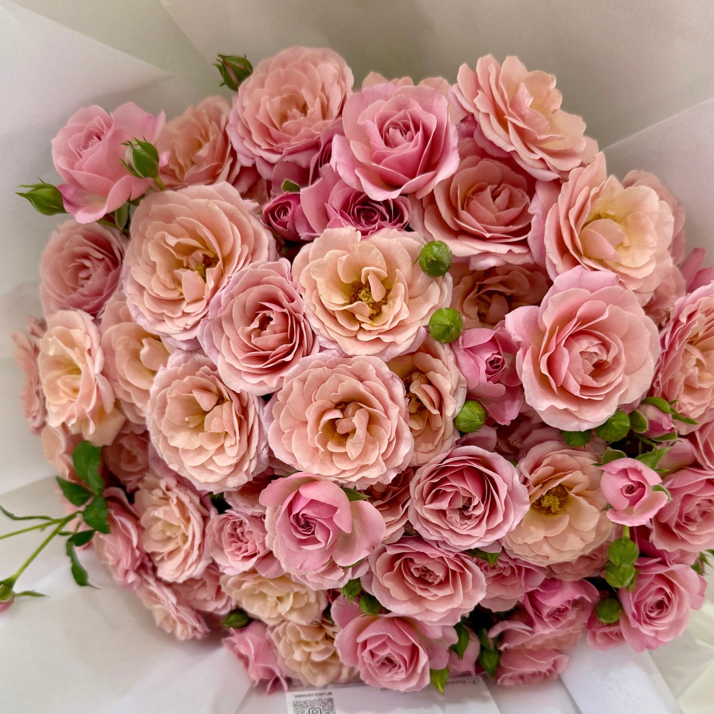 Premium Spray Roses