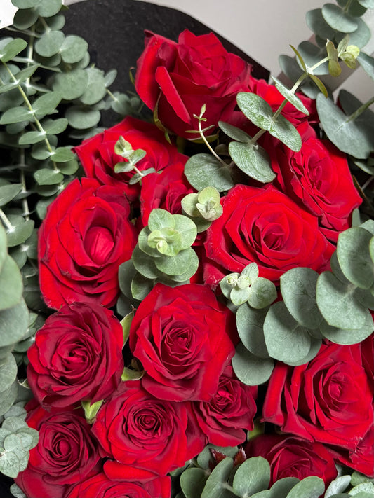 Premium Red Garden Roses